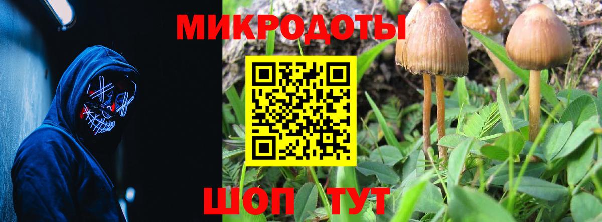 Галлюциногенные грибы MAGIC MUSHROOMS Екатеринбург